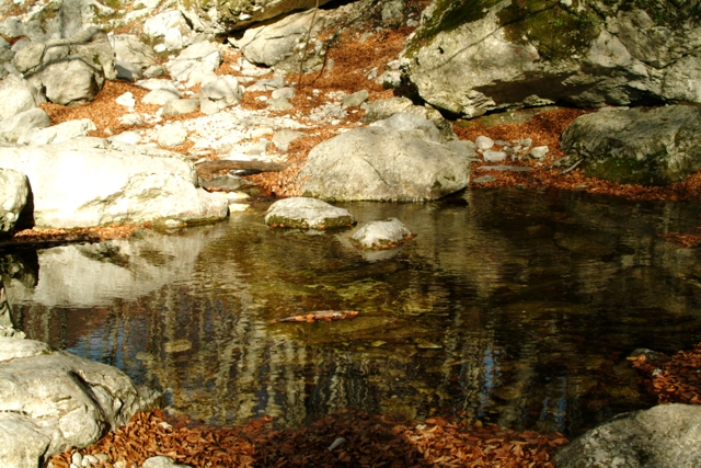 Torrente d''inverno